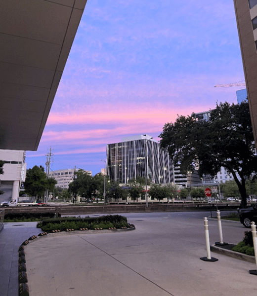 houston medical center